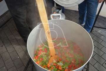 Día grande de las fiestas de Los Llanos 2018 (Foto Antonio Alí/Francisco Javier Santana, Jesús Ruiz y TA)